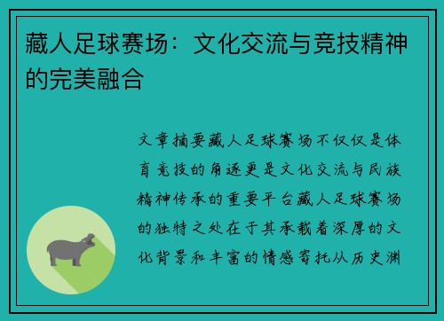 藏人足球赛场：文化交流与竞技精神的完美融合
